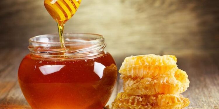 پنجشیر کې سږ کال نږدې درې ټنه شات تولید شوي