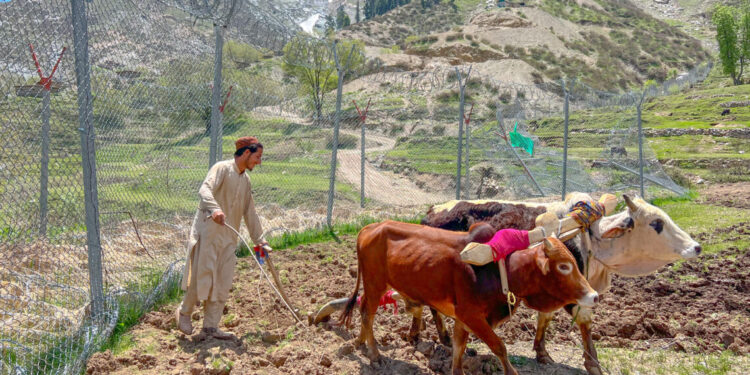 ترکیې د افغان بزګرانو روزنې ته چمتووالی ښودلی