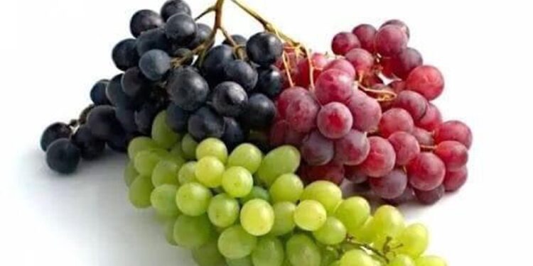 ستاسو روغتیا ته د انګورو ګټې