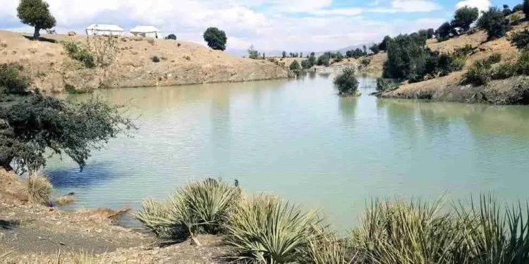 خوست کې د ۱۲۰۰ متره اوږد کانال د جوړېدو چارې پیل شوې