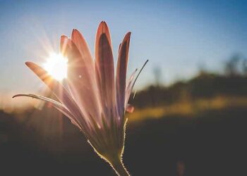 د خوشاله ژوند کولو لپاره لس علمي تګلارې