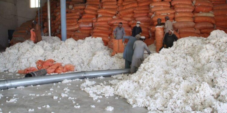 افغانستان سږ کال د ۷۳۷ میلیونه ډالرو په ارزښت صادرات لرل