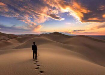 پلونه/ شاعره: زرغونه عبیدي – ژباړن: محمدحامد بهیر