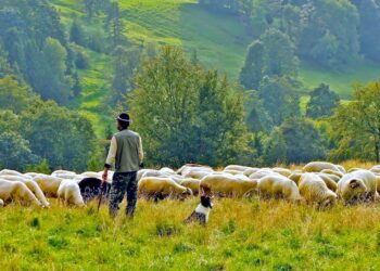 پیسې د خلکو علاقه او احساسات هم تغییرولای شي