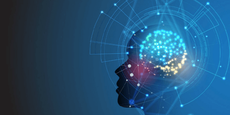 د ذهنونو نړۍ؛ د هوښیارتیا نهو رازونو ته کتنه