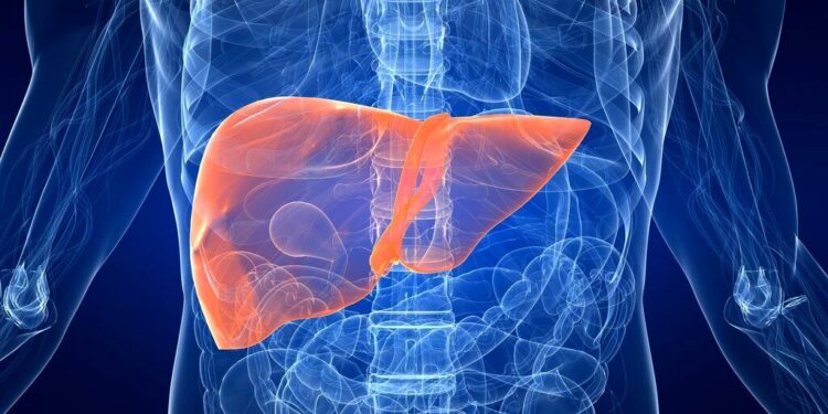 د روغ ځیګر د درلودلو لپاره څه کول پکار دي؟