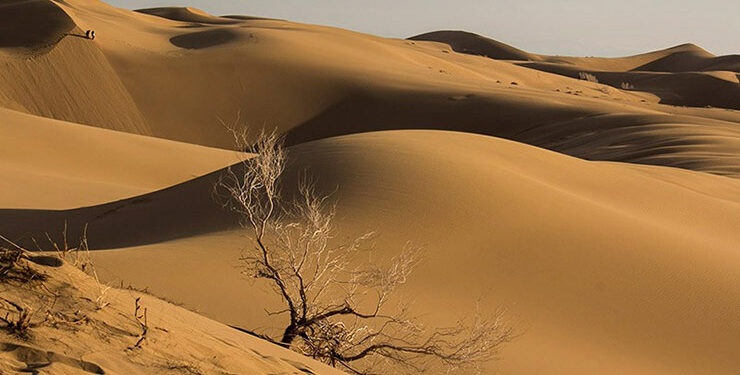 فیلسوف او مخاطب 