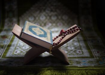 دا کار به دې په رښتیا ژوند بدل کړي «د سکون ښار» – ۱۱