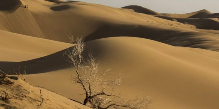 غزل او تغزل