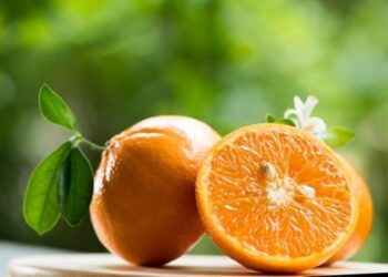 د نارنج له حیرانوونکو ګټو خبر یاست؟ دلته یې ولولئ