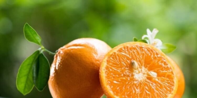 د نارنج له حیرانوونکو ګټو خبر یاست؟ دلته یې ولولئ