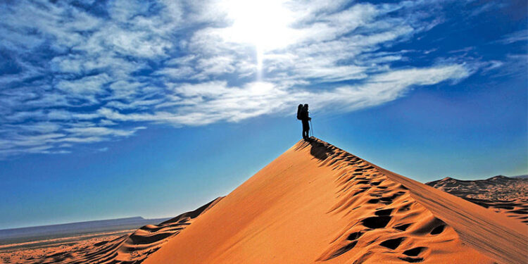 د استاد وروستۍ وینا