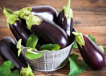 توربانجان کومې ګټې لري؟