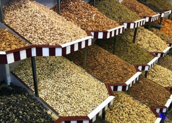 د پنځه میلیونه ډالرو په ارزښت وچه مېوه چین ته صادره شوه