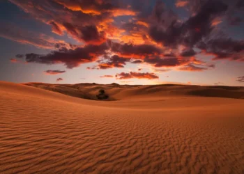 لقمان حکیم خپل زوی ته څه وویل؟