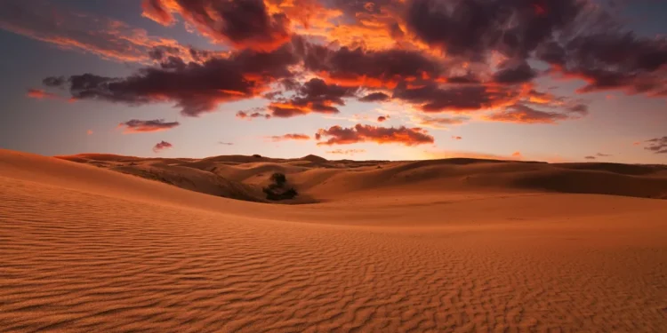 لقمان حکیم خپل زوی ته څه وویل؟