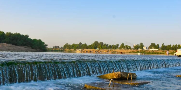 سوری لوښی | ژباړه: حامد بهیر | پوهاوی‌مېډیا