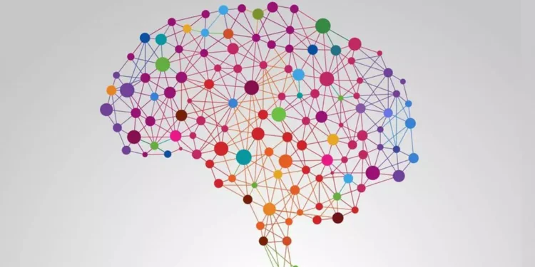 د ځوانۍ په دې درې کټګوريو کې تاسې کوم ځای کې ياست؟