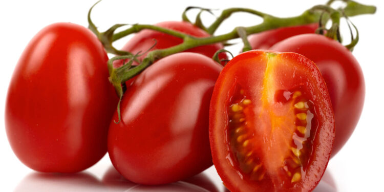 د رومي بانجانو حیرانوونکې گټې