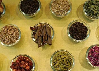 روان کال له هرات څخه ۲۲ زره ټن طبي نباتات صادر شوي | پوهاوی‌نیوز