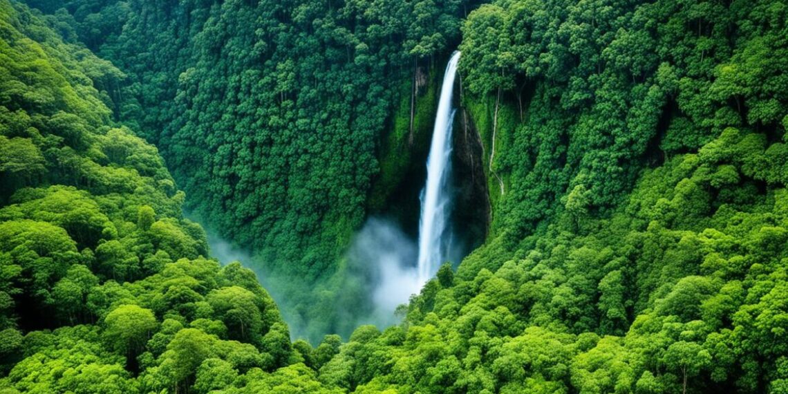 چاپېریال/ محیط زیست/ Environment