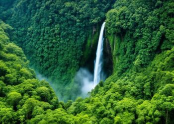 چاپېریال/ محیط زیست/ Environment