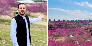 ګل غونډۍ او د ارغوان جشن (پسرلنۍ مېله)