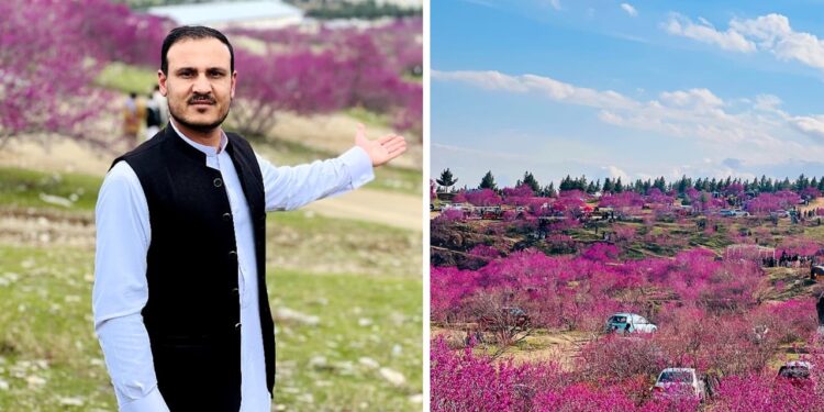 ګل غونډۍ او د ارغوان جشن (پسرلنۍ مېله)